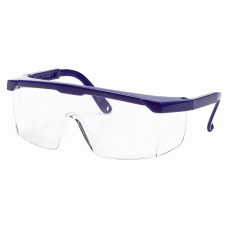 Óculos de Proteção Flash (10 Pares)
